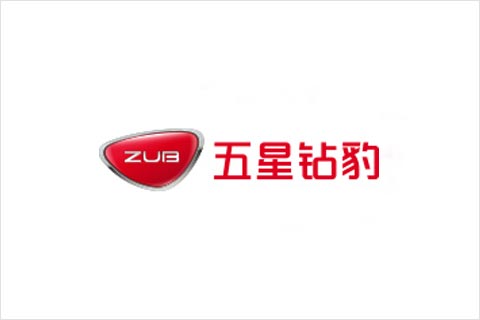 幣游國(guó)際電池合作伙伴 五星鉆豹電動(dòng)車
